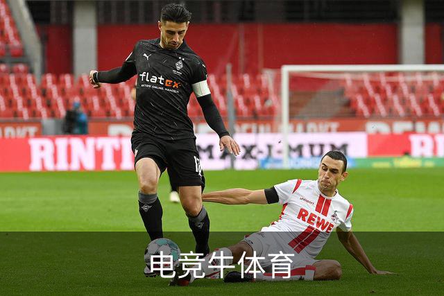 电竞牛体育公司简介图片